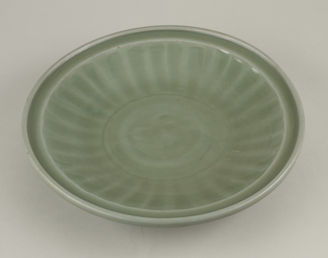 Large Dish