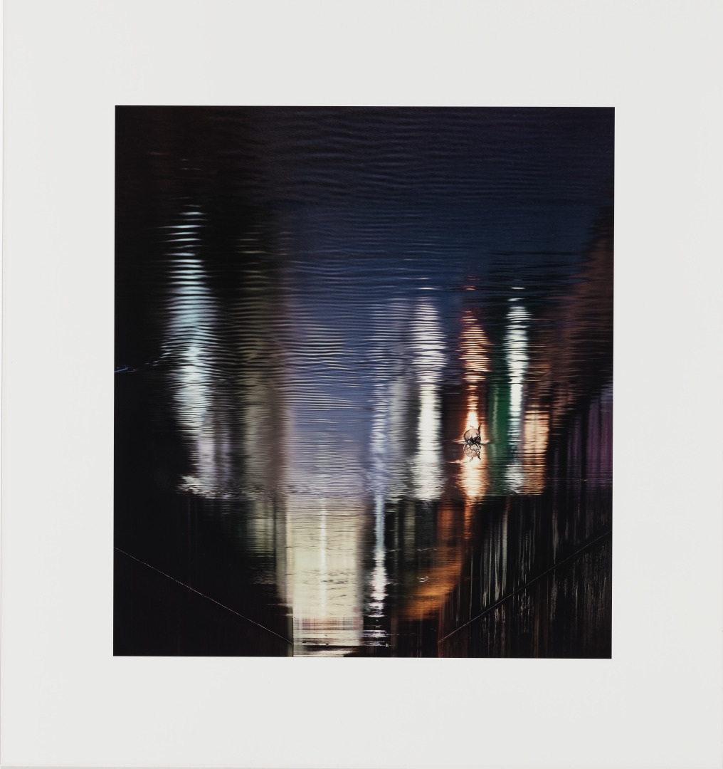 SHADOW #042