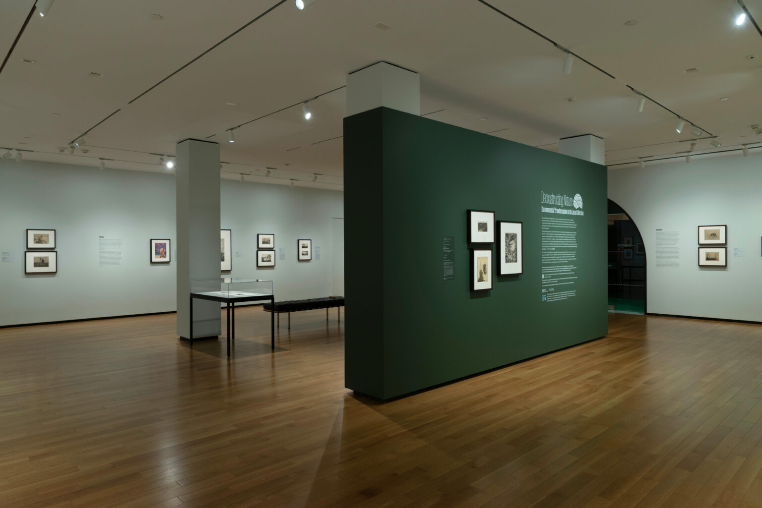 Deconstructing Nature: Environmental Transformation in the Lucas Collection