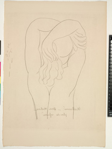 THE SWAN (REFUSED ETCHING)