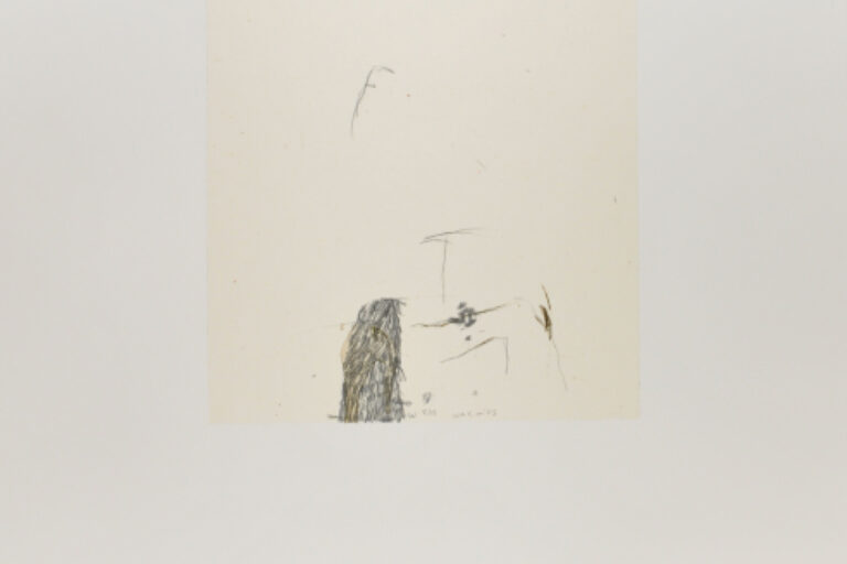 4. BROTHERS WOUND