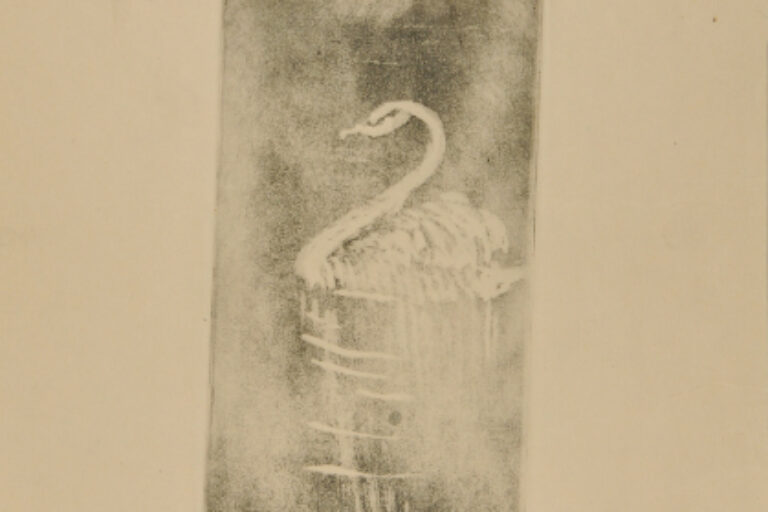 SWAN