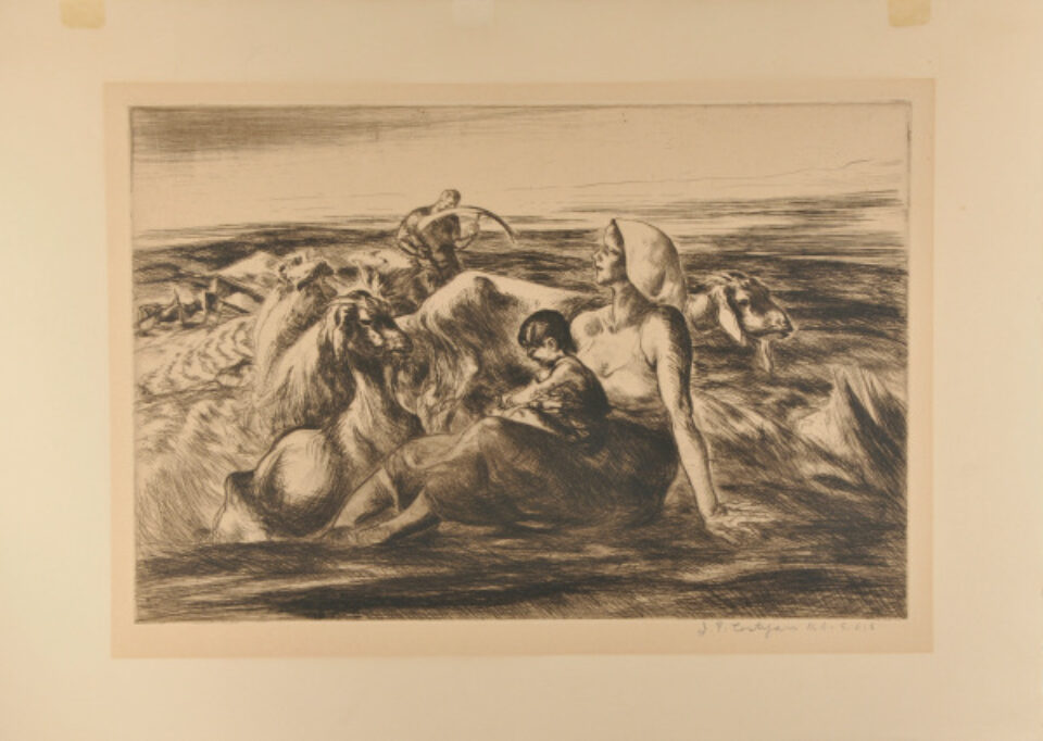 John Edward Costigan