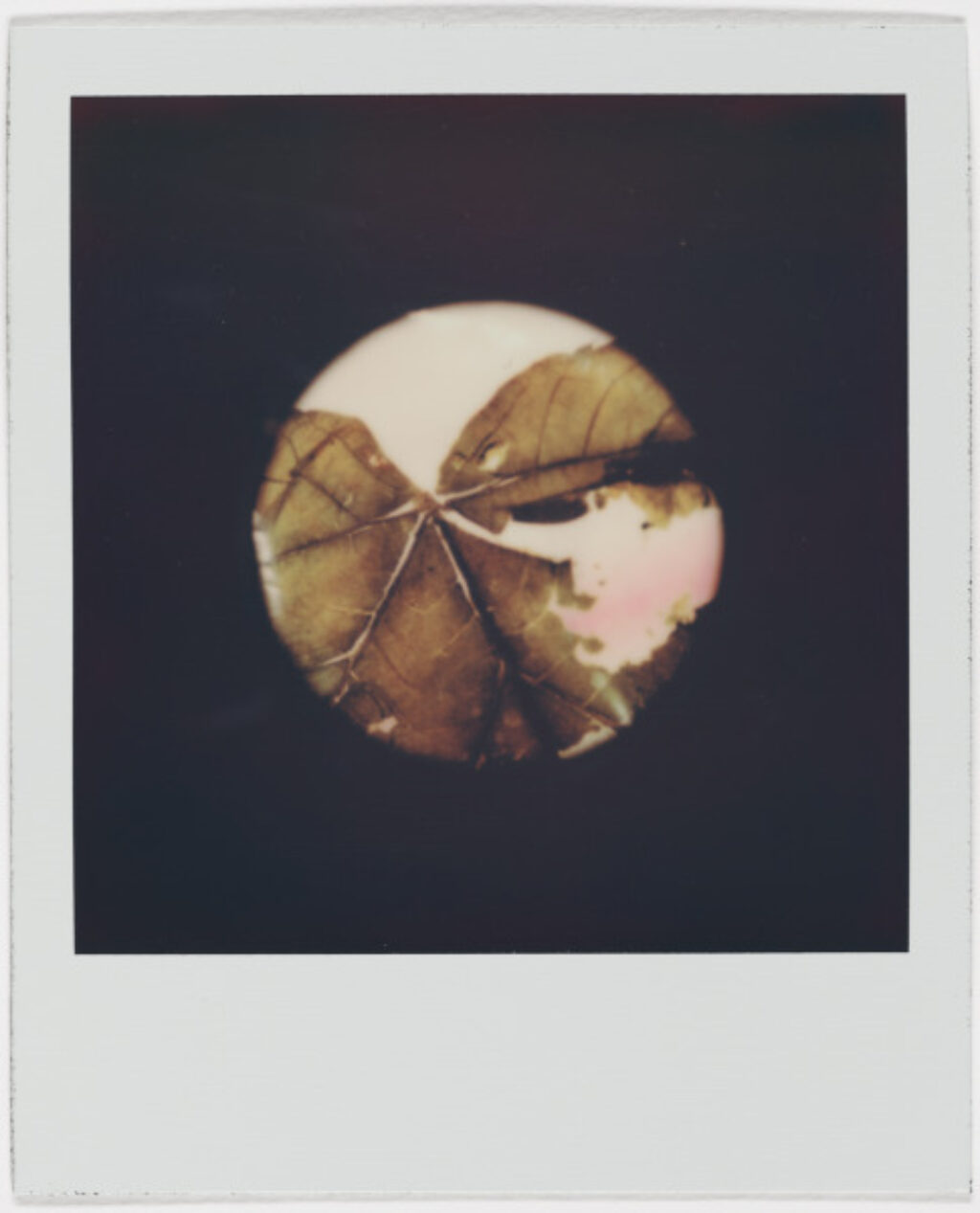 on the lower frequencies i speak 4 u - Image 24