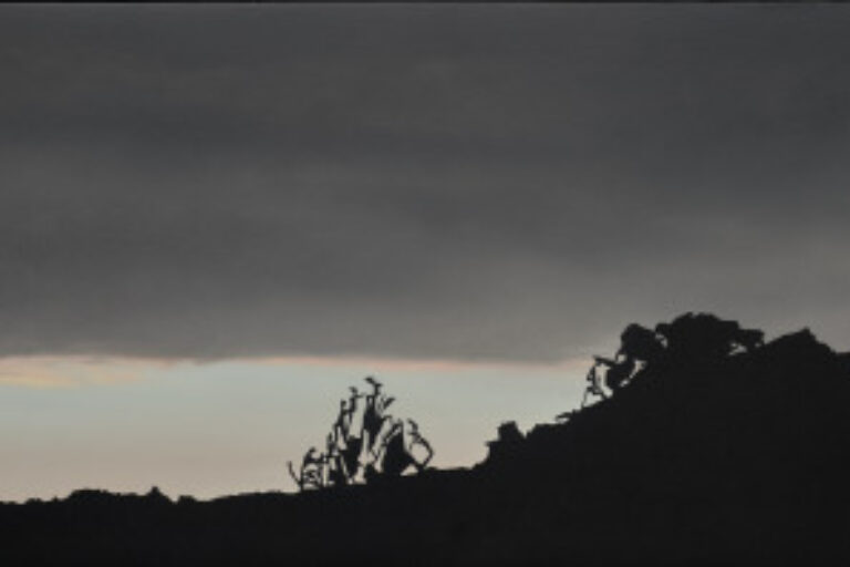 UNTITLED (HERRING RUN II)