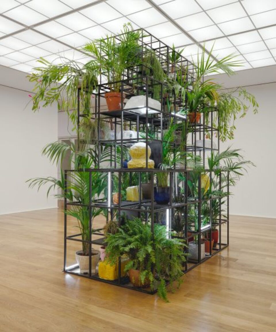 Rashid Johnson
