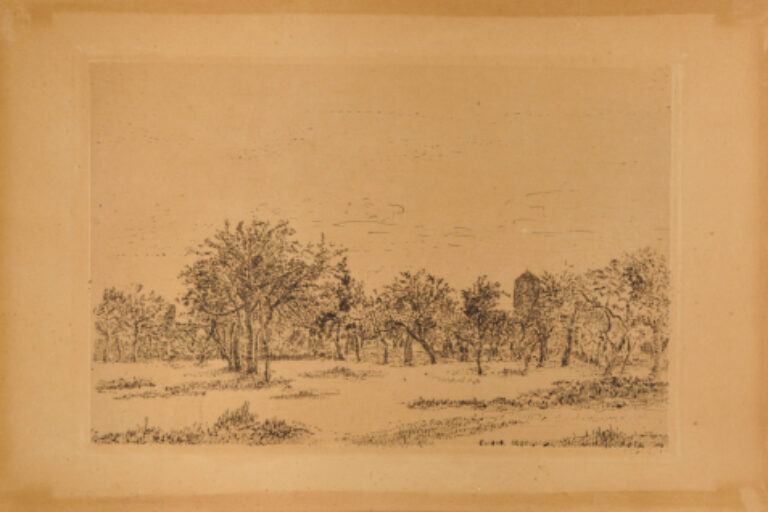 The Orchard