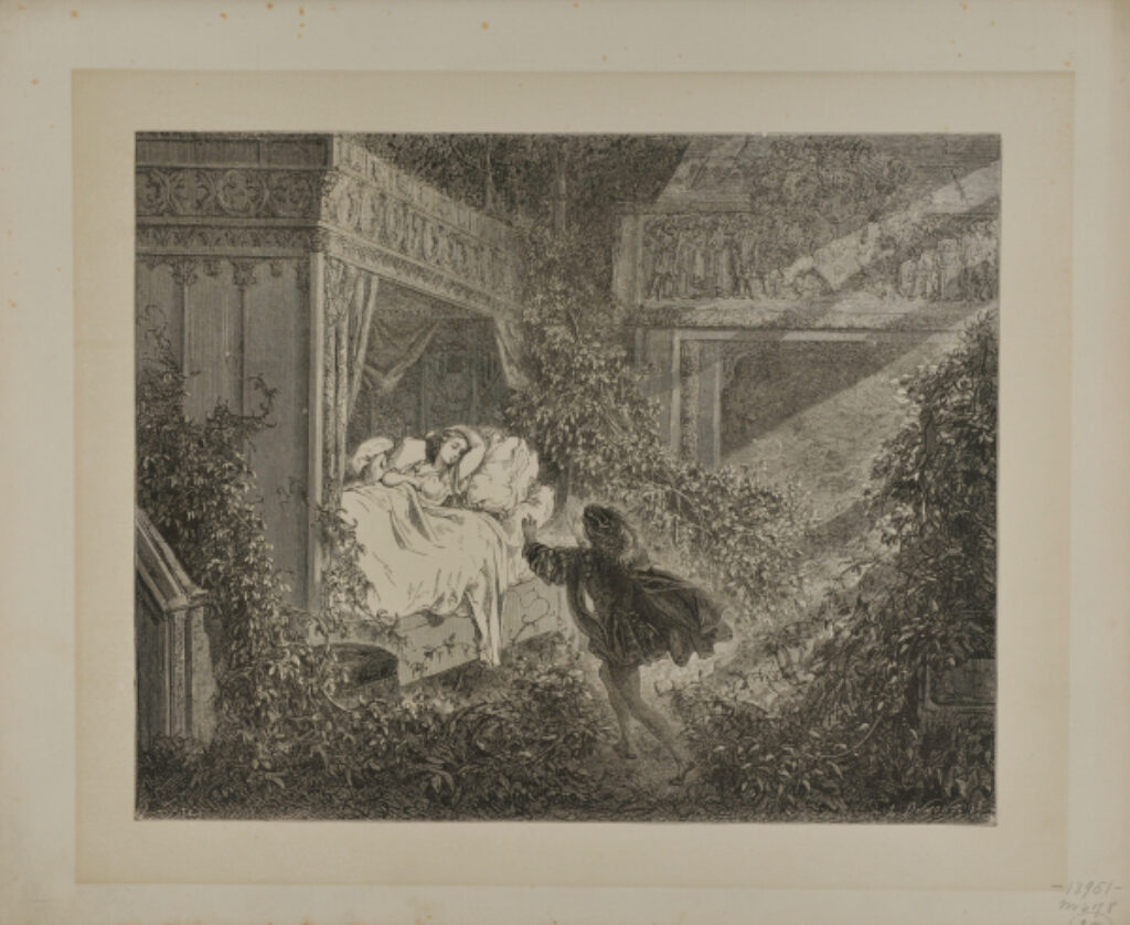 “Reclining upon a bed was a princess of radiant beauty” from Sleeping Beauty