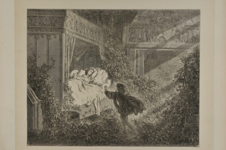 "RECLINING UPON A BED WAS A PRINCESS OF RADIANT BEAUTY" FROM SLEEPING BEAUTY
