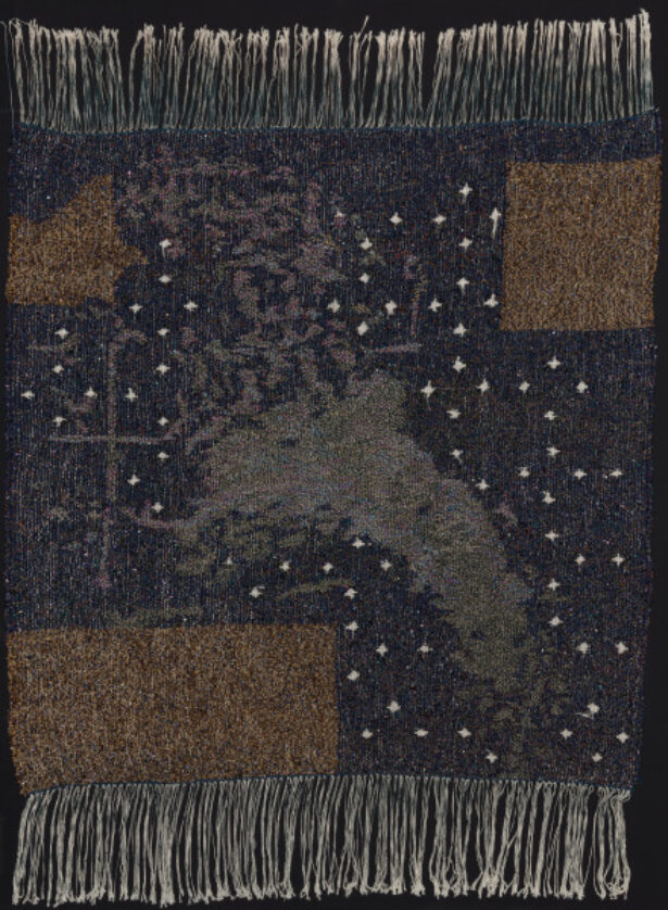 NAGTREIS OP N VLIENDE PERD (A NIGHT JOURNEY ON A WINGED HORSE)