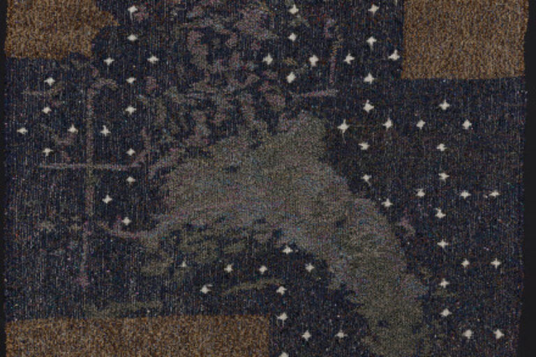 NAGTREIS OP N VLIENDE PERD (A NIGHT JOURNEY ON A WINGED HORSE)