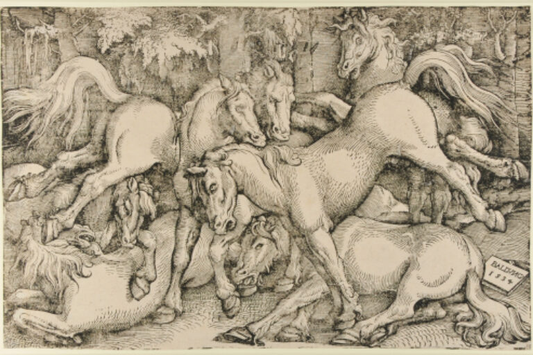 SEVEN WILD HORSES