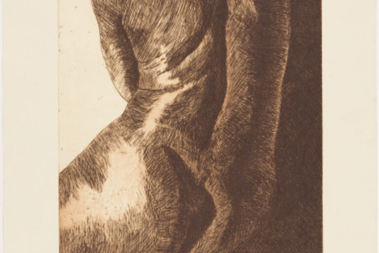 TORSO (BACK)