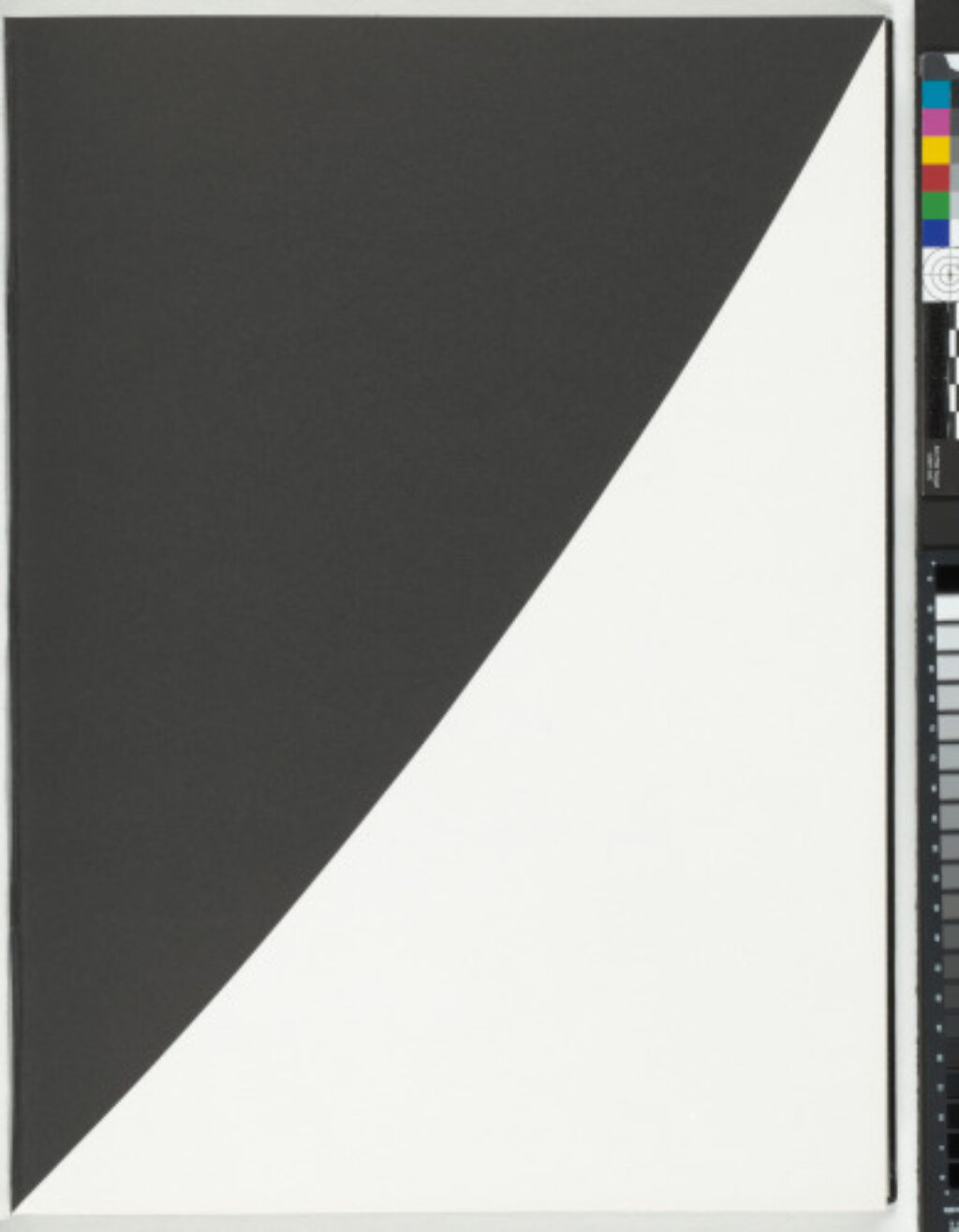 A Throw of the Dice Will Never Abolish Chance - Image 26