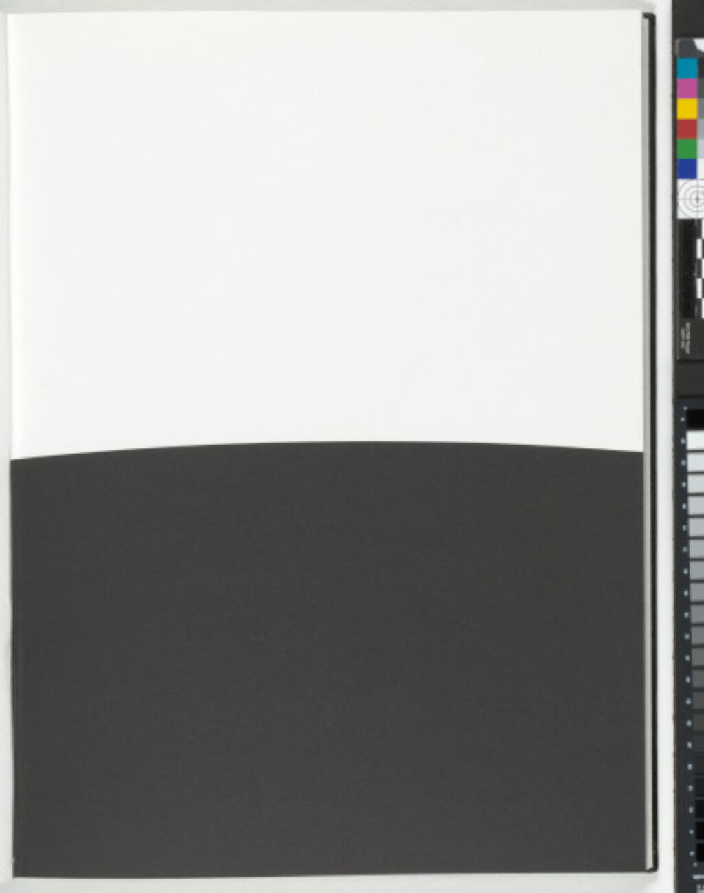 A Throw of the Dice Will Never Abolish Chance - Image 23