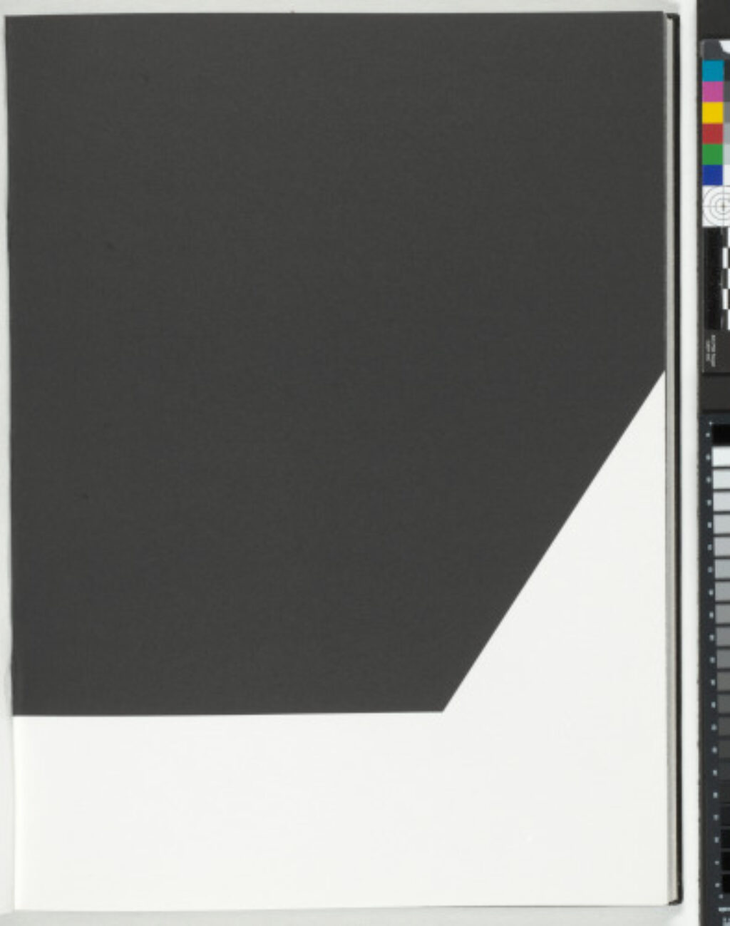 A Throw of the Dice Will Never Abolish Chance - Image 22