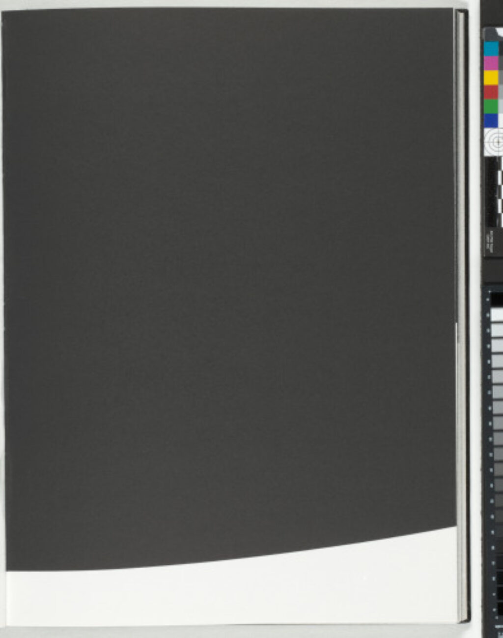 A Throw of the Dice Will Never Abolish Chance - Image 21