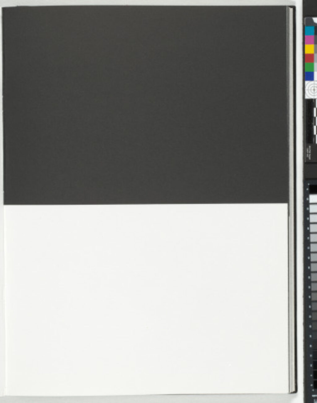 A Throw of the Dice Will Never Abolish Chance - Image 1