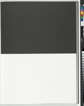 A Throw of the Dice Will Never Abolish Chance