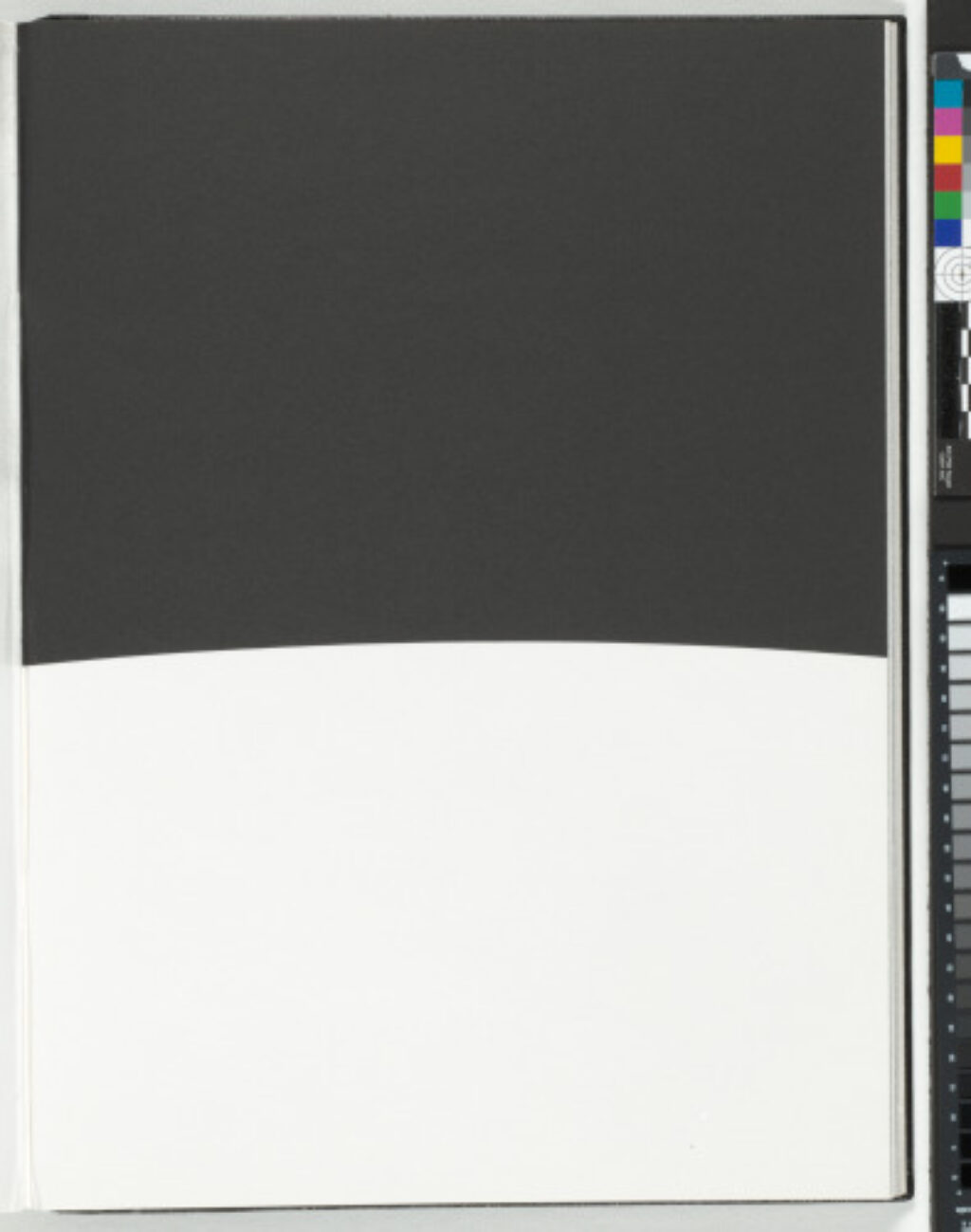 A Throw of the Dice Will Never Abolish Chance - Image 18