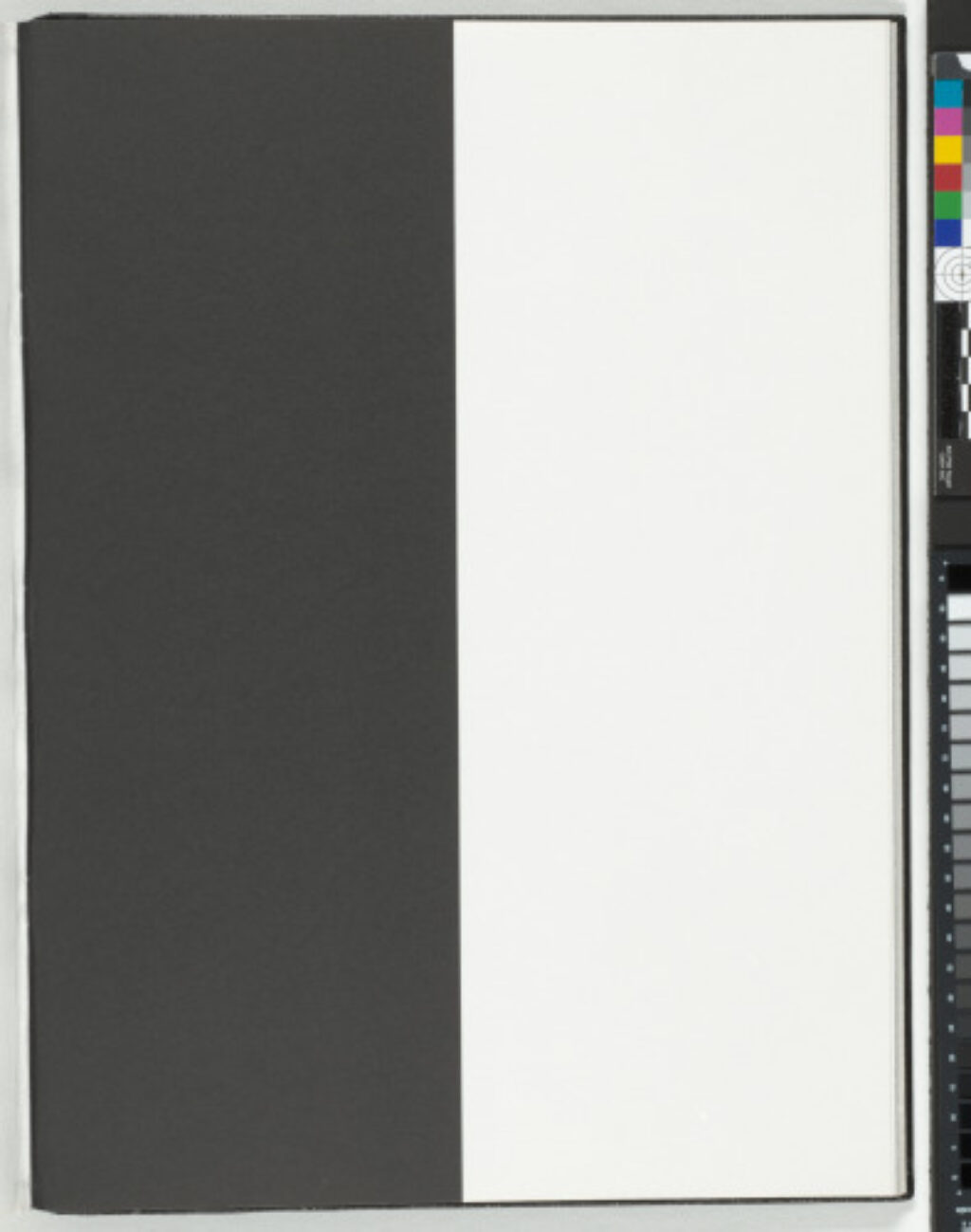 A Throw of the Dice Will Never Abolish Chance - Image 17