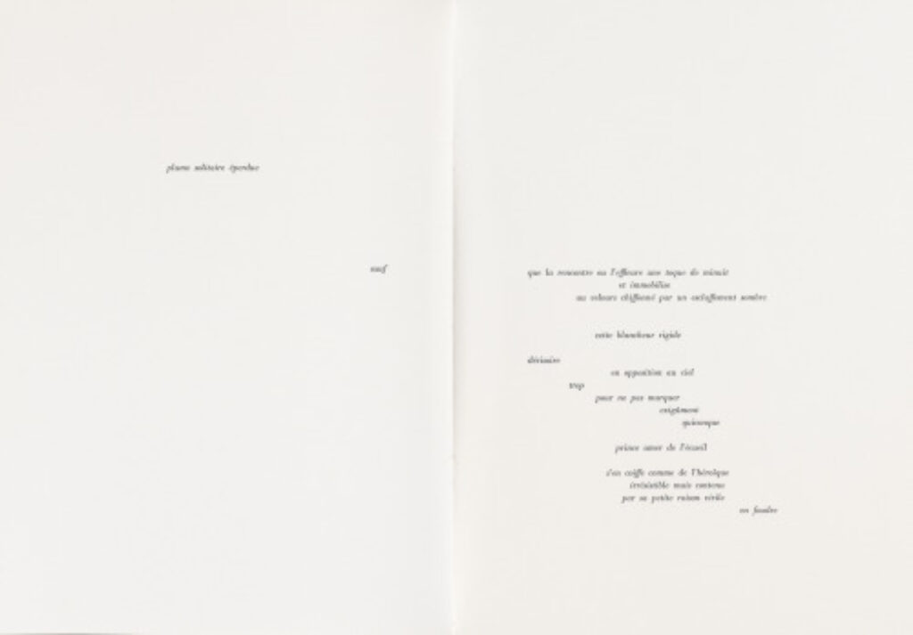 A Throw of the Dice Will Never Abolish Chance - Image 15