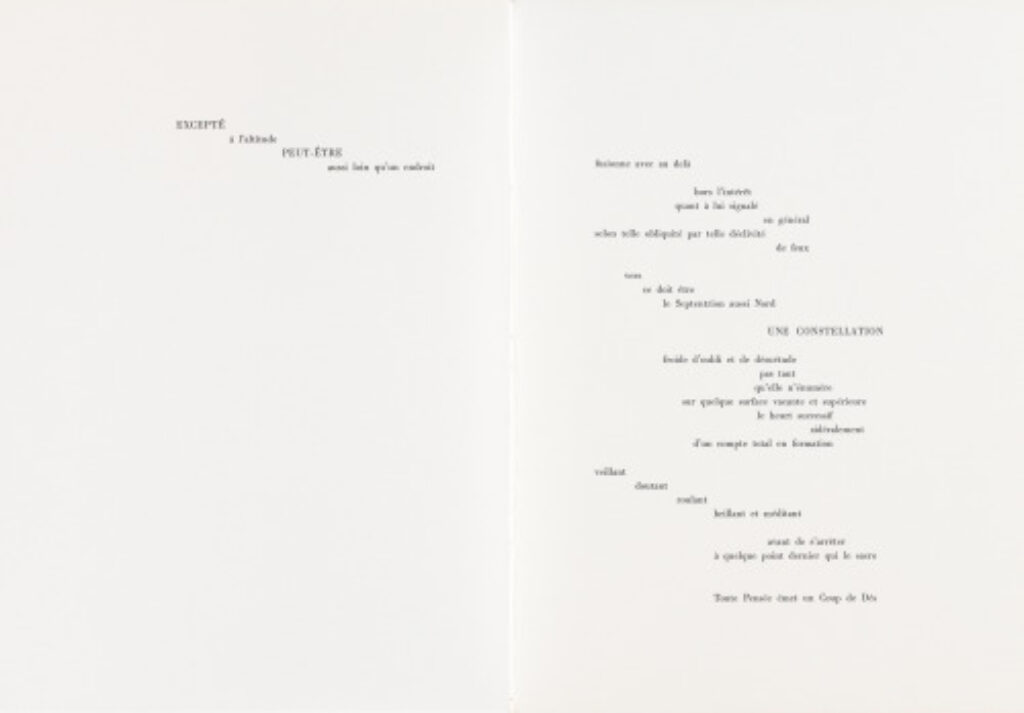 A Throw of the Dice Will Never Abolish Chance - Image 11