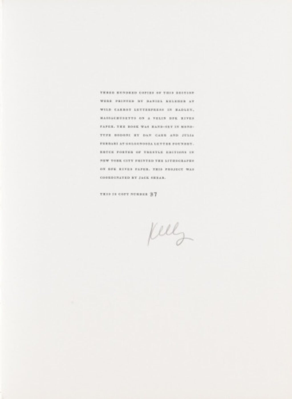 A Throw of the Dice Will Never Abolish Chance - Image 10