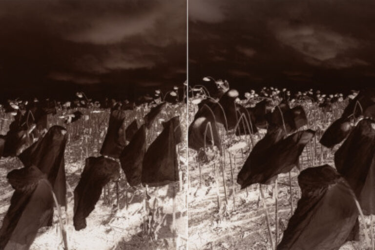 BEHIND MY EYES, SECOND MOVEMENT, PLATE II