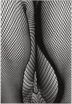 How to Create a Beautiful Picture