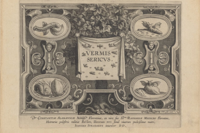 TITLE PLATE