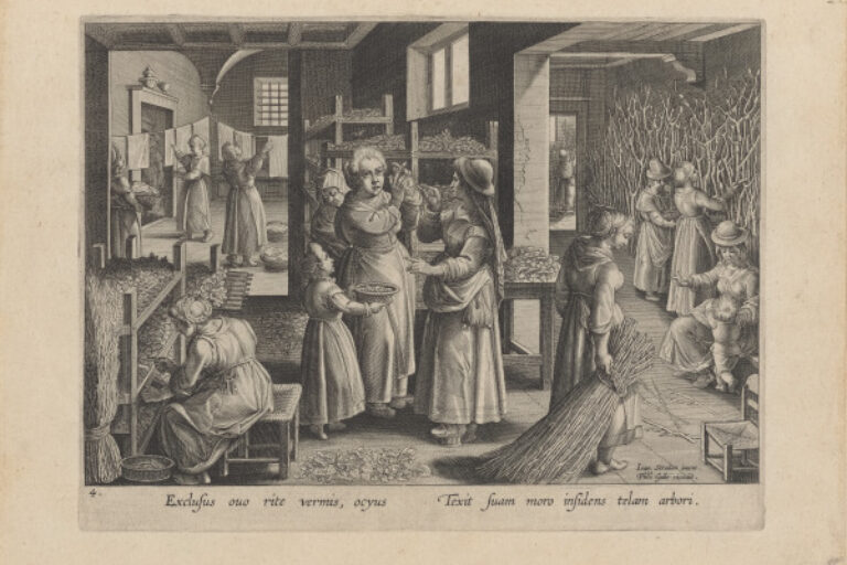 THE SILKWORM EGGS SPREAD OUT ON SHELVES