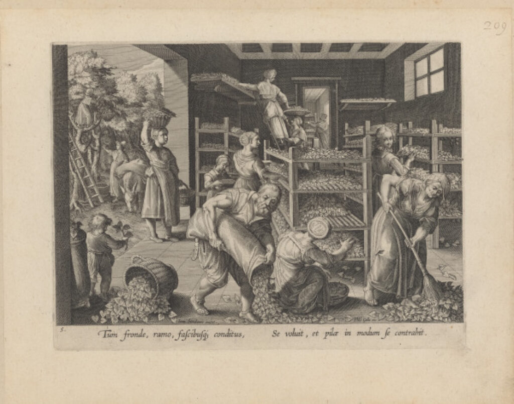 The Gathering of Mulberry Leaves and the Feeding of the Silkworms