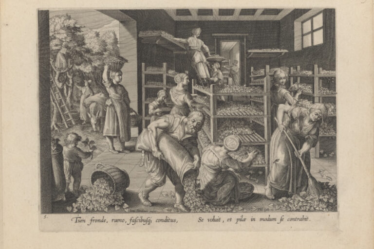 THE GATHERING OF MULBERRY LEAVES AND THE FEEDING OF THE SILKWORMS