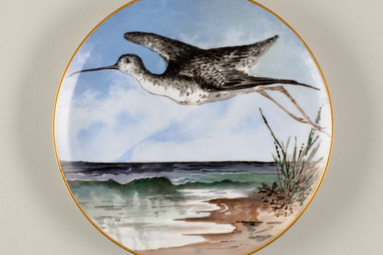 "THE YELLOW-LEGGED SNIPE" GAME PLATE