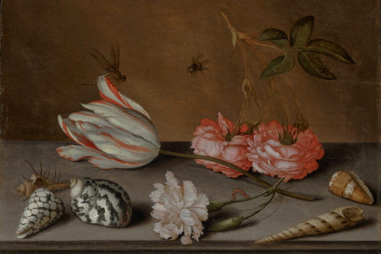 A TULIP, A CARNATION AND ROSES, WITH SHELLS AND INSECTS, ON A LEDGE