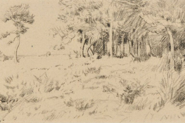 Woodland Scene
