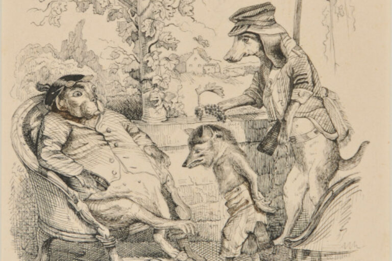 Animals in Human Clothing