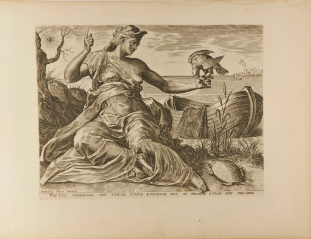 Tactus Sensorium per Totum Corpus Exparsum est, ac Proinde Etiam Eius Organum