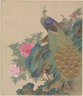 Peacock and Peahen on Rock with Peony