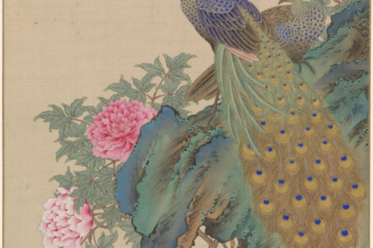 Peacock and Peahen on Rock with Peony