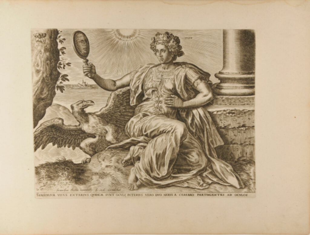 Sensorium Visus Exterius Quidem Sunt Oculi, Interius Vero Duo Nervi a Cerebro Pertingentes ad Oculos - Image 2