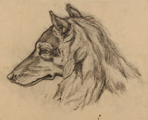 Head of a Fox (or dog) in Profile