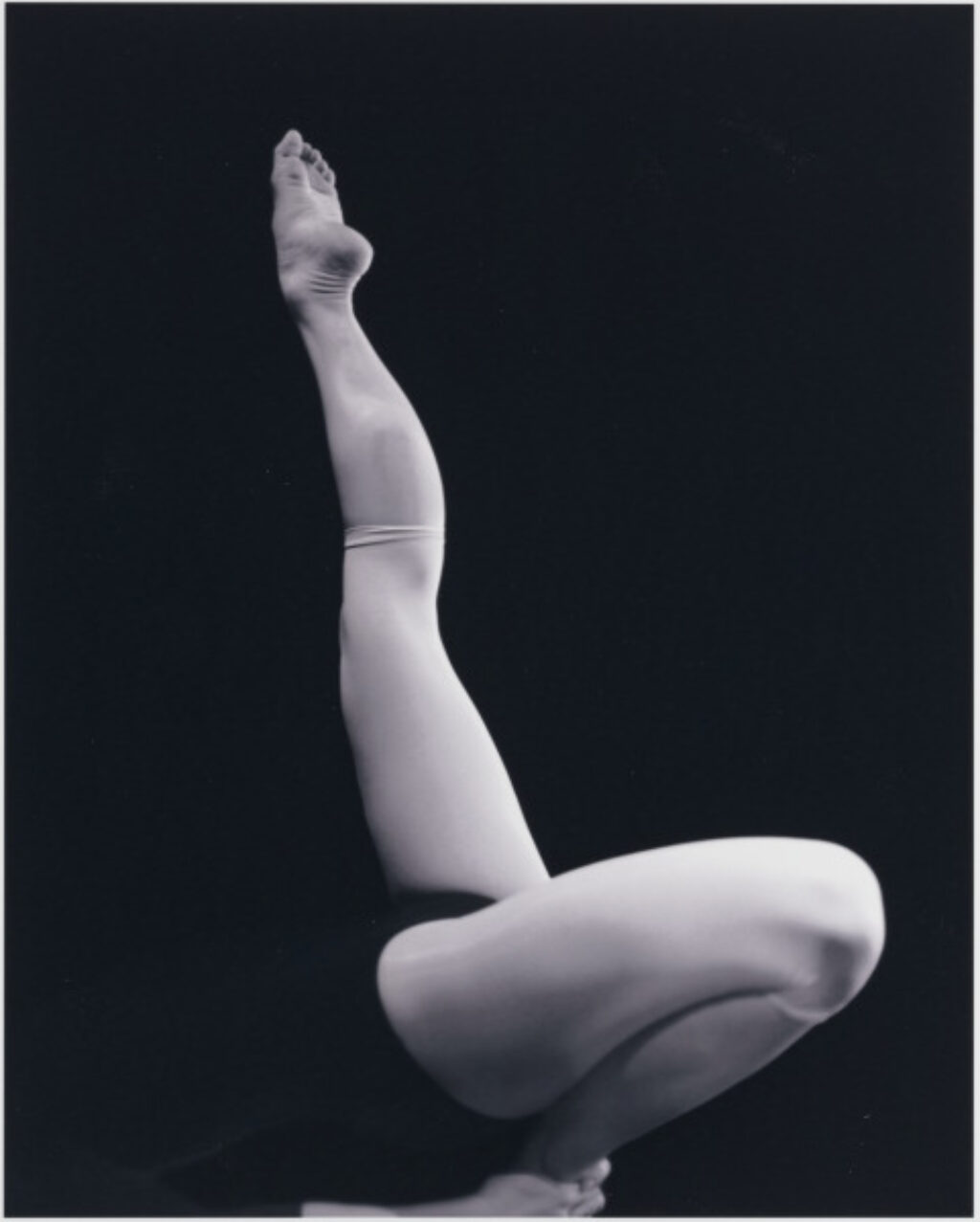 Baltimore Dancers Nine