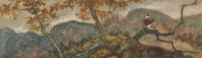 Bird of Prey on a Tree Branch
