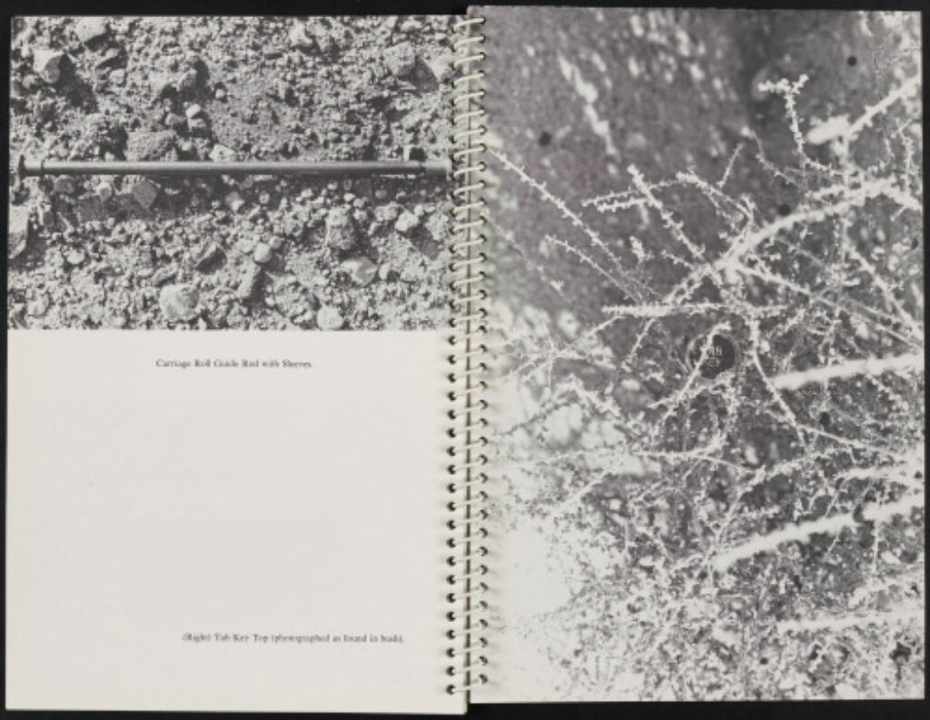 Royal Road Test - Image 18