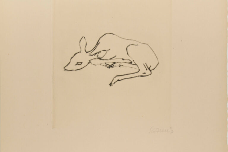THE FAWN