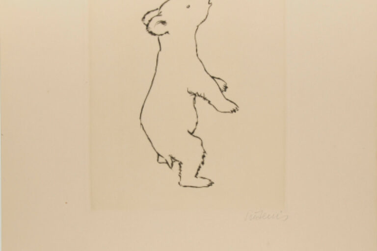 THE YOUNG BEAR