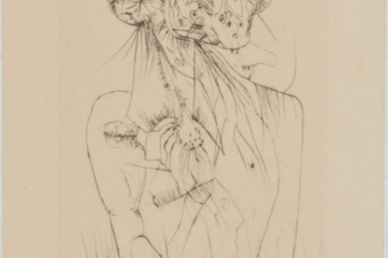 DOUBLE IMAGE