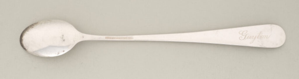 Iced Tea Spoon - Image 2